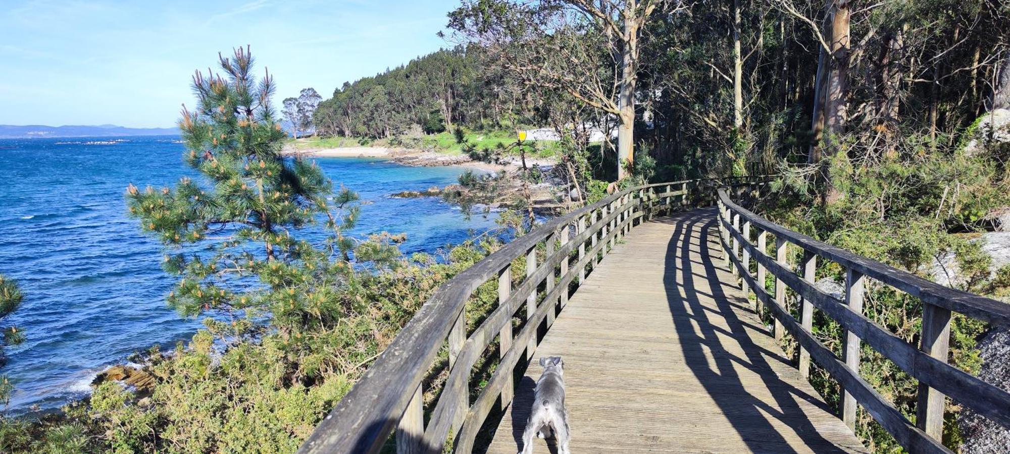 Apartamento El Rincon De Elia, Haz Realidad Tu Sueno De Vivir Con Vistas Al Mar Villanueva De Arosa Luaran gambar